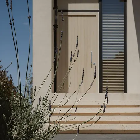 The Habitus Residence, A Design House *