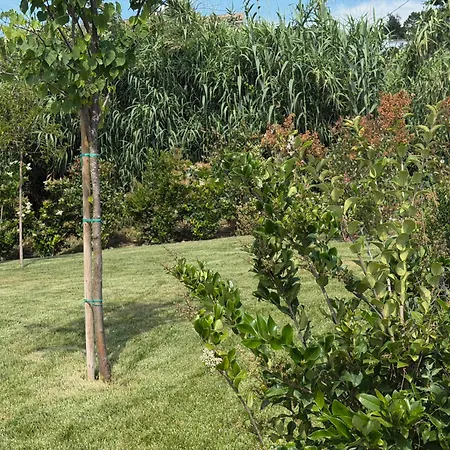 The Habitus Residence, A Design House * Corfu (city)