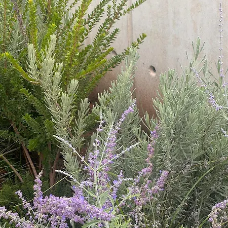 Holiday home The Habitus Residence, A Design House Corfu (city)